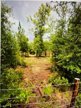 $65,000, complejo familiar de cinco acres: permite una vivienda móvil por acre (Marianna, FL)634326307376651224