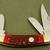 BOKER MAGNUM SC105 RED BONE BONSAI TREE SOW BELLY STOCKMAN POCKET KNIF 2 thumbnail