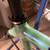 Bianchi EV3 Frameset 13 thumbnail