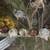 Barnyard Mix Chicken Hatching or Eating Eggs 6 thumbnail