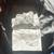 Coverking Silverguard Plus C5 Corvette Car Cover 1997-2004 Logo Bag 2 thumbnail