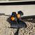 SARIS/Graber All-Star 2-BicycleBike Carrier 1-1/4 hitch Rack Platform 3 thumbnail