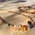 2 Beautiful natural Agate necklace 1 thumbnail