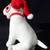 Vintage Bullseye Target Christmas Holiday Dog Plush Toy, 2006 8 thumbnail