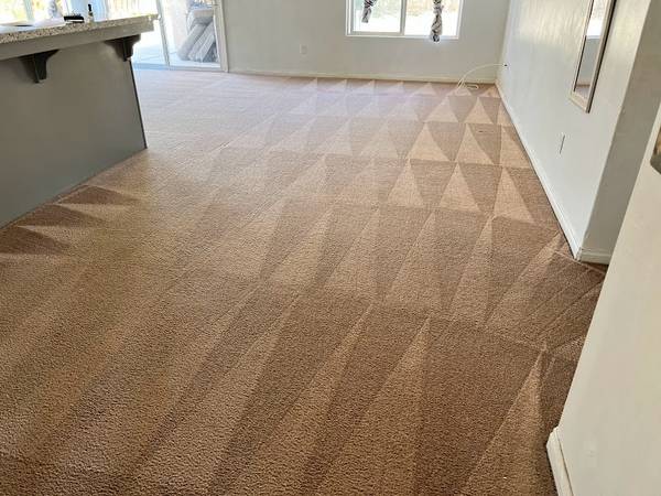 Local Cleaners 💙 1