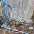 Engine cherry picker needs seal! 1 thumbnail