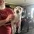 Heeler puppies in Portales, NM 12 thumbnail