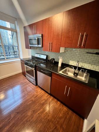 $4,000 / 1br - Beautiful 1B1B in Fidi NYC Oct Immediate Move In - Sep 2026 (Financial District)64033801809027123