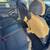 HONDA CIVIC SPORT 10 thumbnail