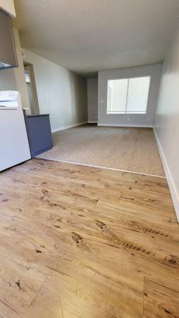 $1,195 / 1br - 640ft2 - Chic 1 bed 1 bath! (Fresno)63873104494467123