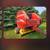 Newholland BR780A round baler for sale 2 thumbnail