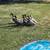 Free Ducks 1 thumbnail