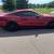 2015 Whipple Stage 2 Mustang GT 6 thumbnail