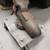 Wilton Bullet Vise 5" Jaw Bench Vice Model 500 Made In U.S.A. 9 thumbnail