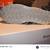 Saucony Men Shadow Original 4 thumbnail