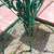 Wrought Iron Dining Set Woodard Rose Table with 4 Chairs Porch Cafe 3 thumbnail