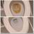 House cleaning 9 thumbnail
