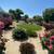Landscaping 8 thumbnail