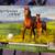 Breyer horses 6 thumbnail