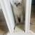 Beautiful Savannah & Point Lynx mix kittens 9 thumbnail