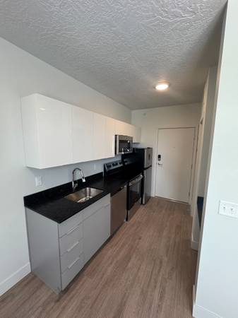 $799 / 254ft2 - Bright & Spacious Studio in Downtown Area (Salt Lake City)63969052879362122