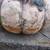 LARGE CEMENT PUMPKIN-11" HIGH X 43" AROUND 3 thumbnail