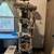 Exotic Savannah cat 7 thumbnail