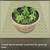 Wine barrel planters. *Free SF/Marin delivery ** 7 thumbnail