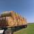 Hay for Sale - Coastal and Peanut Hay - Round Bales 2 thumbnail