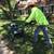 LAWN AERATION !!!!!! 4 thumbnail