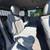 2011 Nissan Quest 3.5 SL 4dr Mini Van 3.5L V6 14 thumbnail