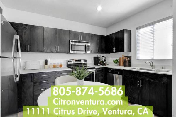$2,425 / 1br - 603ft2 - High-End 1 Bedroom in Ventura ~ Family Room ~ Clubhouse With Wifi (Ventura)63800544333057120