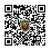 TREE &STUMP GRINDING &STUMP REMOVAL SERVICE 11 thumbnail