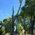 Dannys tree servirse &roofing 1 thumbnail
