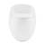BRAND NEW SWISS MADISON PLAISIR II ONE-PIECE TOILET 6 thumbnail