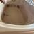 Jacuzzi tub 1 thumbnail
