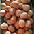 Farm Fresh chicken Eggs available 4 thumbnail