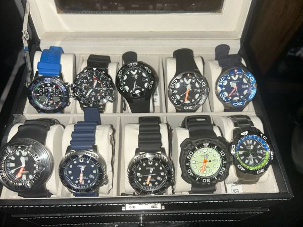 (10) Citizen Promaster Watches 1
