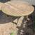 Large wooden outdoor table 2 thumbnail