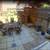 Lovely 3-Family with Parking and Paved Backyard. 2 thumbnail