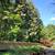 K RUSH TREE SERVICE AND LANDSCAPING LLC 11 thumbnail