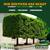 PROFESSIONAL /REMOVAL/ TRIMMING/PLANTING/TREE SERVICES 25% DISCOUNTS 3 thumbnail