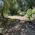 Buildable Lot along Uvas Reservoir 10+ Acres FINANCING 13 thumbnail