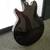 Epiphone Jack Casady Bass 4 thumbnail