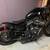 Harley Iron 883 4 thumbnail