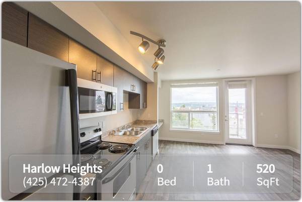 $1,600 / 520ft2 - Smart Space, Big Style – Studio Apartments Available (Seattle)64031311395074121