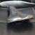 "Fabric" performance bicyle seat / saddle 11 thumbnail