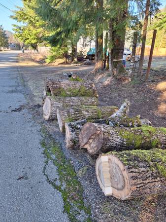 More free firewood, oregon trail 1