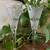 Waterford Crystal Champagne Flutes Set of 2 Love Happiness 2 thumbnail