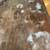 Old dinning table with leaf 6 thumbnail